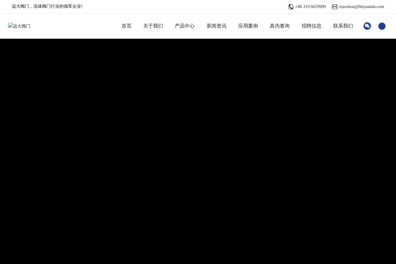 远大阀门集团有限公司