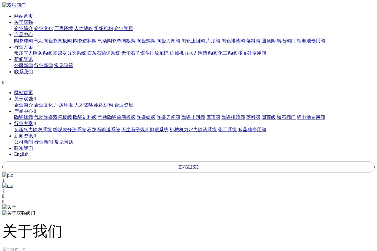 浙江双强阀门有限公司