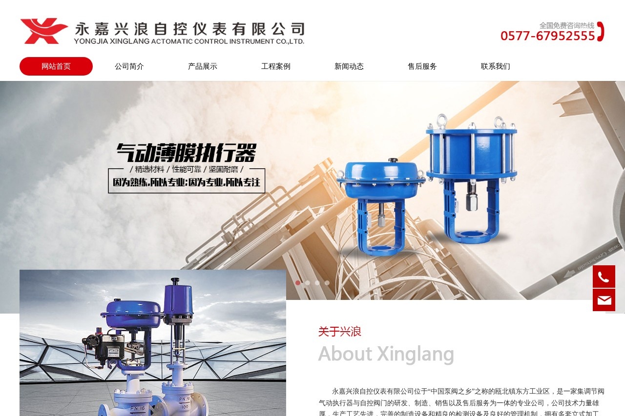 永嘉兴浪自控仪表有限公司